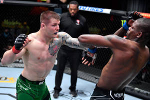 兩名MMA拳手在八角籠中於UFC比賽期間交換拳擊。 — 終極格鬥冠軍賽 壁紙