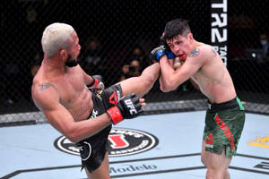 八角籠內的兩名MMA拳手，一人踢向另一人，後者阻擋攻擊。 — 終極格鬥冠軍賽 壁紙