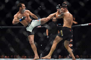 八角籠內的兩名MMA拳手，一人踢向另一人，後者格擋攻擊。 — 終極格鬥冠軍賽 壁紙