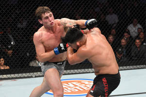 兩名MMA拳手在八角籠中於UFC比賽期間交換拳擊。 — 終極格鬥冠軍賽 壁紙