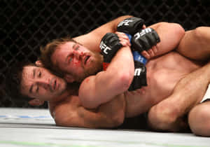 兩名男性MMA拳手在UFC八角籠內的比賽中被鎖喉鎖住。 — 終極格鬥冠軍賽 壁紙