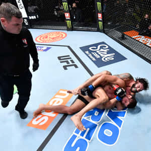 兩名MMA拳手在UFC八角籠內纏鬥，裁判在附近。 — 終極格鬥冠軍賽 壁紙