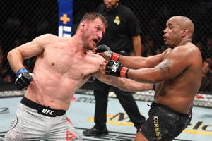 兩名 MMA 拳手在比賽期間於 UFC 八角籠內交換拳擊。 — 終極格鬥冠軍賽 壁紙