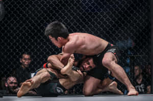 兩名MMA拳手在八角籠內進行寢技纏鬥。 — 運動 壁紙