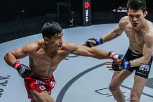 兩名男性MMA拳手在比賽期間於八角籠內交戰。 — 運動 壁紙