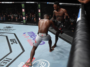兩名MMA拳手在現場賽事中於UFC八角籠內纏鬥。 — 終極格鬥冠軍賽 壁紙