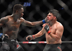 兩名MMA拳手在UFC八角籠內互相出拳，可見血跡。 — 昏暗 壁紙