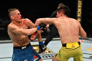 兩名MMA拳手在血跡斑斑的UFC八角籠中互相出拳。 — 終極格鬥冠軍賽 壁紙