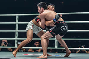 兩名男拳手在專業MMA擂台上陷入纏鬥比賽。 — 運動 壁紙
