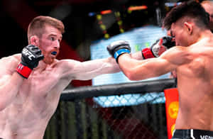 兩名MMA拳手在八角籠內比賽中互相出拳。 — 終極格鬥冠軍賽 壁紙
