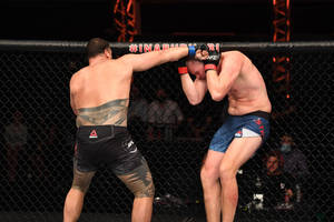 兩名 MMA 拳手在籠中，一人擊打另一人的頭部。 — 運動 壁紙