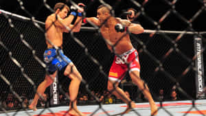 兩名MMA拳手在八角籠內互相出拳。 — 終極格鬥冠軍賽 壁紙