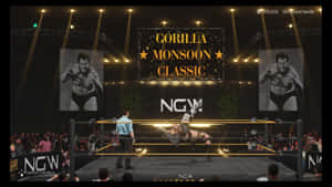 摔角手在比賽期間於明亮的燈光下在擂台上競爭。 — 大猩猩 壁紙