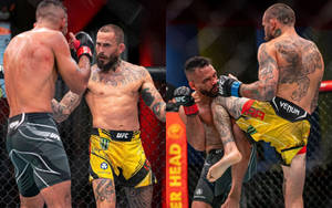 兩名男性MMA拳手在籠中，帶有刺青和UFC裝備，激烈打鬥。 — 終極格鬥冠軍賽 壁紙