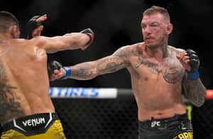 兩名男性MMA拳手在八角籠中比賽時互相出拳。 — 運動 壁紙