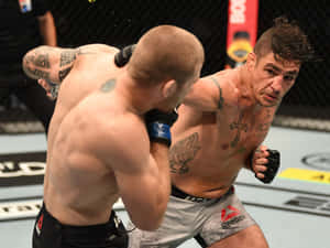 兩名戴著MMA手套的男性拳手在八角形鐵籠內互相出拳。 — 運動 壁紙