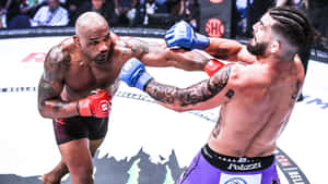 兩名男性MMA拳手在八角鐵籠內戰鬥。 — 終極格鬥冠軍賽 壁紙