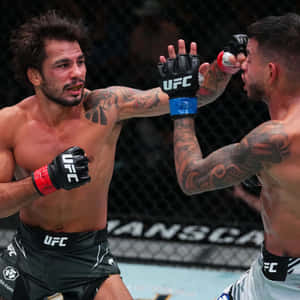 兩名男性MMA拳手在八角籠內進行UFC比賽時互相出拳。 — 終極格鬥冠軍賽 壁紙