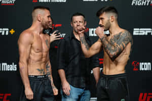 兩名赤裸上身的MMA拳手在帶有ESPN標誌的過磅活動中拳頭相抵。 — 終極格鬥冠軍賽 壁紙