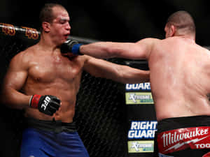 兩名男性拳手在MMA鐵籠內於比賽中交換一拳。 — 運動 壁紙