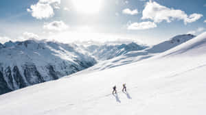 兩名滑雪者在晴朗的天空下，沿著明亮的積雪山坡滑下。 — 寒冷 壁紙
