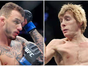 兩名男性MMA拳手在籠中對戰。 — 運動 壁紙
