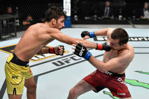 兩名男性拳手在UFC籠中互相出拳。 — 終極格鬥冠軍賽 壁紙
