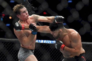兩名男性MMA拳手在八角籠中於UFC比賽期間互相出拳。 — 終極格鬥冠軍賽 壁紙