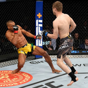 八角籠中的兩名MMA拳手，在UFC比賽中一人踢向另一人。 — 終極格鬥冠軍賽 壁紙