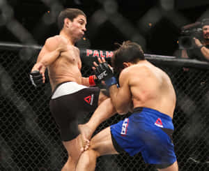 兩名男性MMA拳手在UFC八角籠內行動。 — 終極格鬥冠軍賽 壁紙