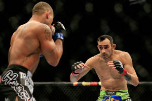籠中的兩名MMA拳手，比賽中 — 終極格鬥冠軍賽 壁紙