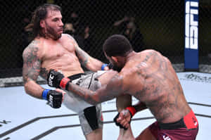 兩名男性MMA拳手在UFC比賽中於八角籠內纏鬥。 — 終極格鬥冠軍賽 壁紙