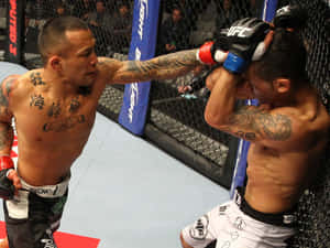 兩名戴著MMA手套的男性拳手在八角籠內互相出拳。 — 終極格鬥冠軍賽 壁紙