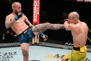 兩名男性MMA拳手在八角籠中，一名在UFC比賽中踢另一名。 — 運動 壁紙