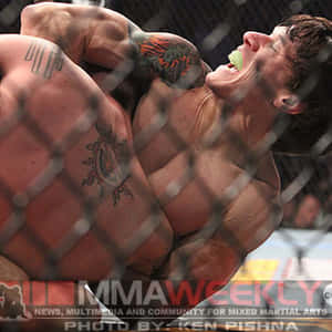 兩名男性MMA拳手在八角籠內纏鬥，其中一人咬住另一人的手臂。 — 終極格鬥冠軍賽 壁紙