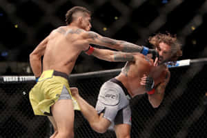 兩名男拳手在UFC八角籠內互相出拳。 — 終極格鬥冠軍賽 壁紙