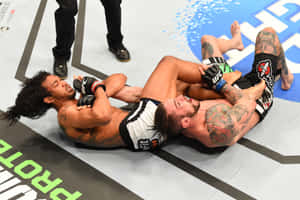 兩名男拳手在UFC八角籠內進行纏鬥比賽。 — 終極格鬥冠軍賽 壁紙
