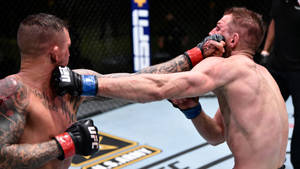 兩名戴著MMA手套的男性拳手在八角籠內互相出拳。 — 運動 壁紙