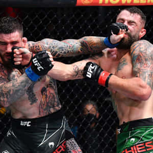 兩名MMA拳手在UFC比賽期間於籠中互相出拳。 — 終極格鬥冠軍賽 壁紙