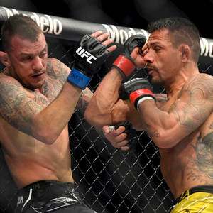 兩名男性MMA拳手在籠中比賽時互相出拳。 — 極限運動 壁紙