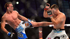 兩名戴著MMA手套的男性拳手在八角籠內交換高踢和阻擋。 — 終極格鬥冠軍賽 壁紙