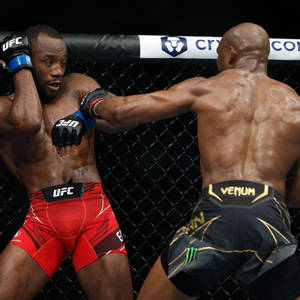 八角籠中的兩名MMA拳手，其中一人在比賽中毆打另一人。 — 酷 壁紙