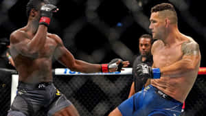 兩名戴著MMA手套的男性拳手在八角籠內互相出拳。 — 運動 壁紙