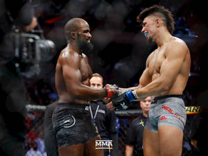 兩名MMA拳手在職業比賽期間於八角籠中握手。 — 運動 壁紙