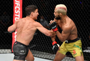 兩名拳手在UFC八角籠比賽中互相出拳。 — 終極格鬥冠軍賽 壁紙