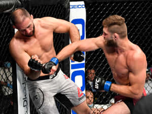 兩名戴著MMA手套的男性拳手在八角籠內互相出拳。 — 終極格鬥冠軍賽 壁紙