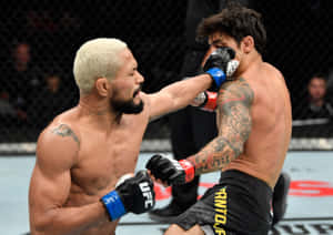 兩名戴著MMA拳套的男性拳手在八角鐵籠內互相出拳。 — 運動 壁紙