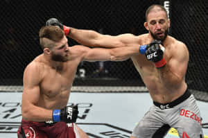 兩名戴著MMA手套的男性拳手在八角形鐵籠內互相出拳。 — 終極格鬥冠軍賽 壁紙