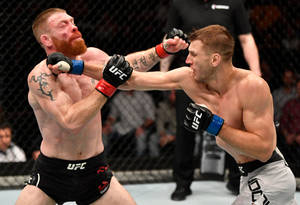 兩名戴著MMA手套的男性拳手在八角籠內互相出拳。 — 運動 壁紙
