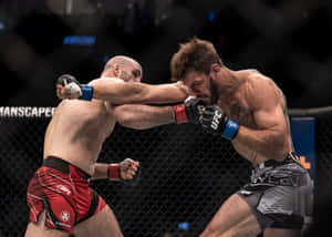 兩名戴著MMA手套的男性拳手在八角籠內互相出拳。 — 終極格鬥冠軍賽 壁紙